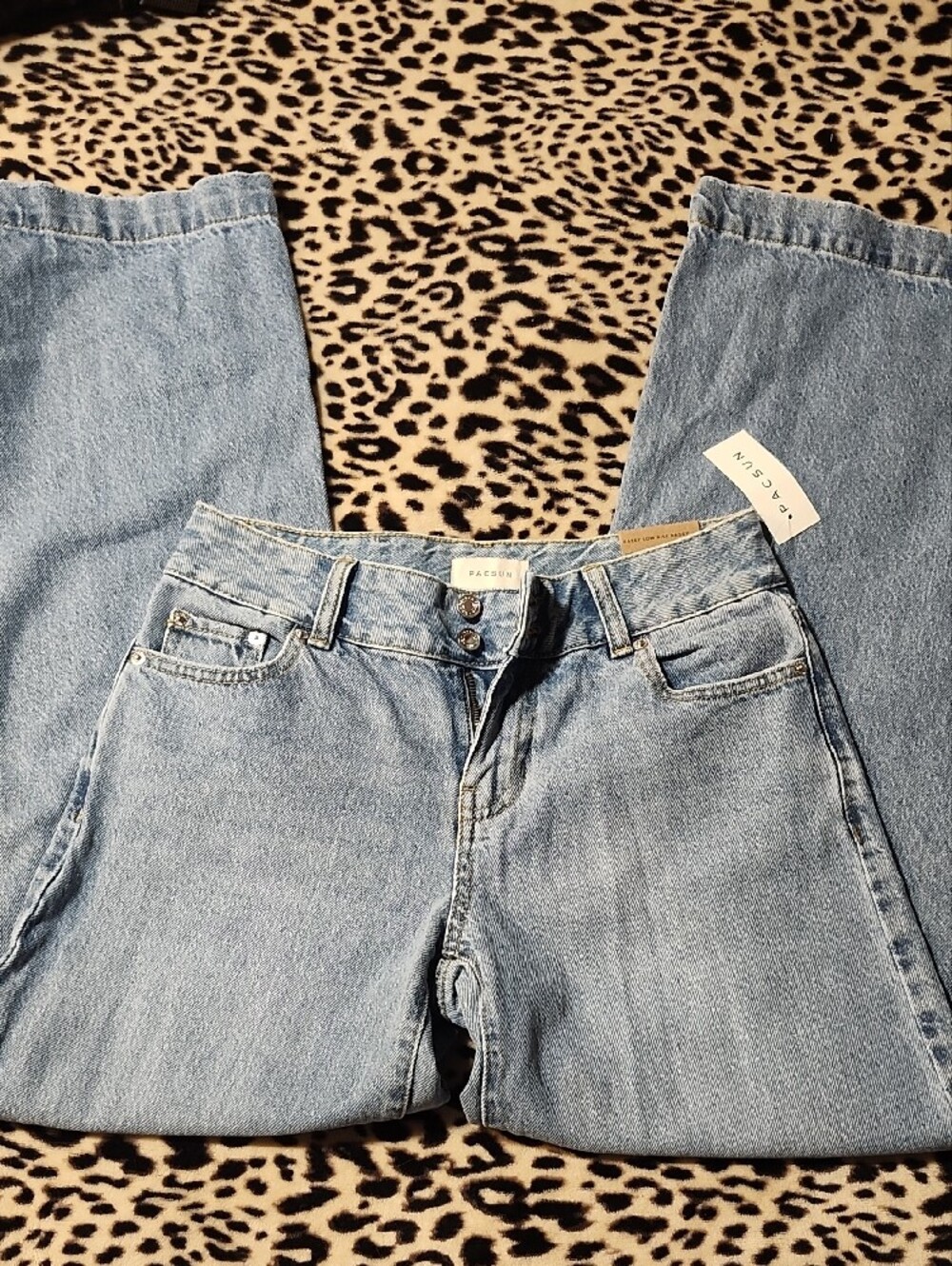 Pacsun Casey Low Rise Baggy Jeans 25R
